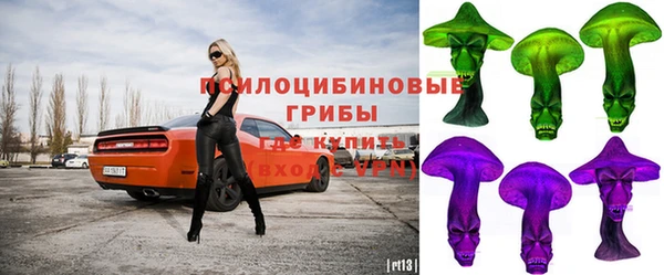 дурь Лиски