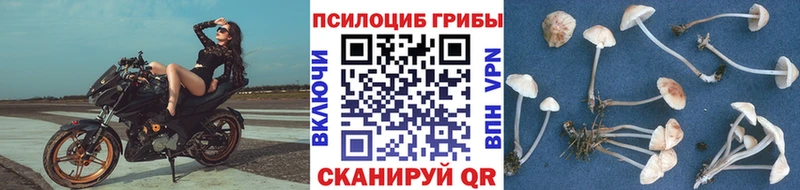 Галлюциногенные грибы MAGIC MUSHROOMS  Назарово 